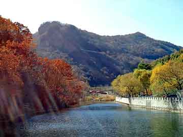 正版澳门天天开彩大全，青岛一次性纸杯